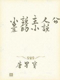 小说主人公叫林晨的小说