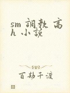sm 调教 高h 小说