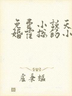 免费小说天价宠婚霍总的小娇妻封面