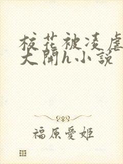 校花被凌虐双腿大开h小说封面