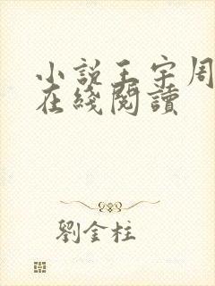 小说王宇周美琴在线阅读