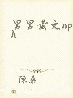 男男黄文np高h
