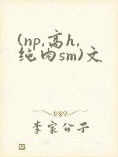 (np,高h,纯肉sm)文