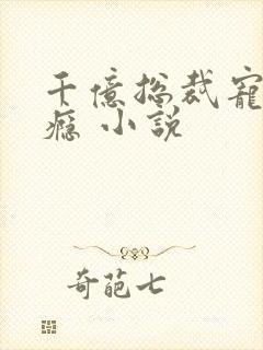 千亿总裁宠妻成瘾 小说