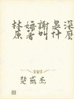 林妩谢晏深小说原著叫什么名字