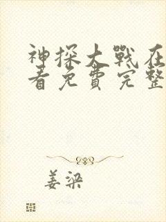神探大战在线观看免费完整高清