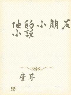 他的小朋友太甜小说