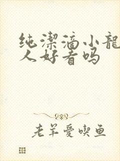 纯洁滴小龙捞尸人好看吗封面