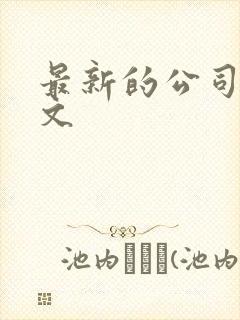 最新的公司法全文