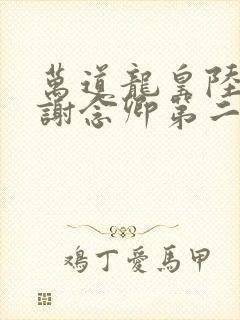 万道龙皇陆鸣和谢念卿第二次