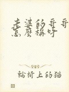 老婆的哥哥老婆怎么称呼封面