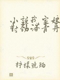 小说我家娘子不对劲洛青舟全文下载