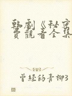 韩剧《秘密》免费观看全集电视剧中
