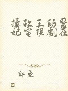 摄政王的医品狂妃电视剧在线