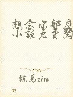 想念你那么久了小说免费阅读