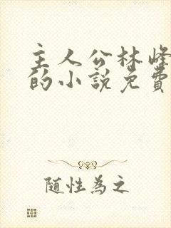 主人公林峰宁欣的小说免费阅读封面