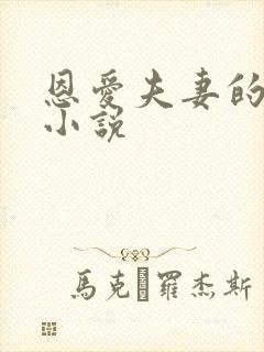 恩爱夫妻的交换小说封面