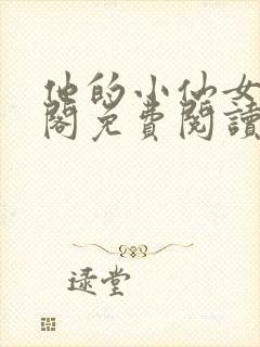 他的小仙女笔趣阁免费阅读封面
