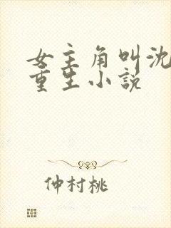 女主角叫沈晚的重生小说
