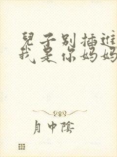 儿子别插进来,我是你妈妈小说