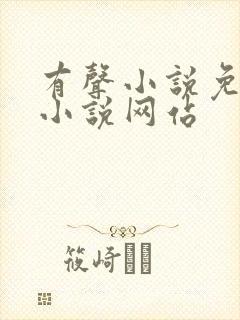 有声小说免费听小说网站
