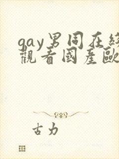 gay男同在线观看国产欧美