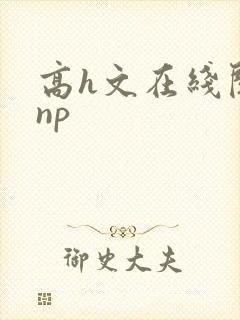 高h文在线阅读np