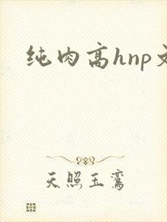 纯肉高hnp文
