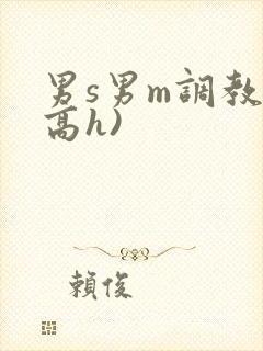 男s男m调教(高h)