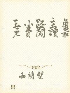 王小路主角小说免费阅读最新章节封面