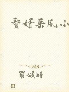 赘婿岳风小说