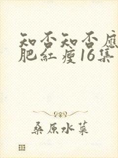 知否知否应是绿肥红瘦16集