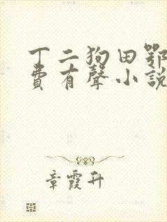 丁二狗田鄂茹免费有声小说封面