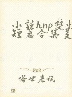 小说hnp双性短篇合集美人