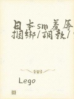 日本sm羞辱/捆绑/调教/束缚视频6