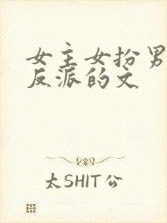 女主女扮男装是反派的文