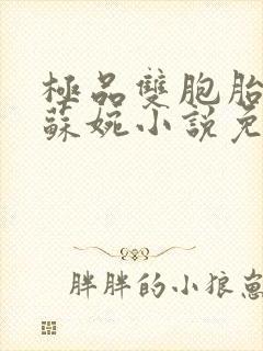 极品双胞胎老婆苏婉小说免费阅读
