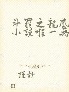 斗罗之龙凰传说小说唯一无双