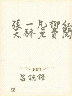 张一凡柳红官道天骄免费阅读笔趣阁