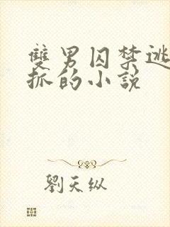 双男囚禁逃跑被抓的小说