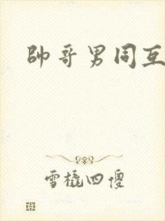 帅哥男同互操