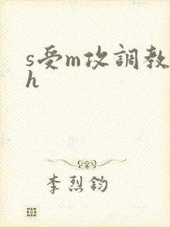 s受m攻调教高h