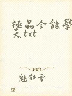 极品全能学生夏天txt封面
