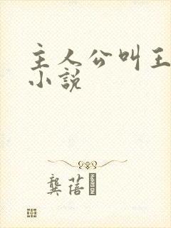 主人公叫王宇的小说