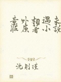 意外相遇未删减版原著小说叫什么