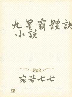 九星霸体诀龙尘 小说