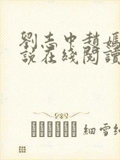 刘志中赵嫣的小说在线阅读全文最新封面