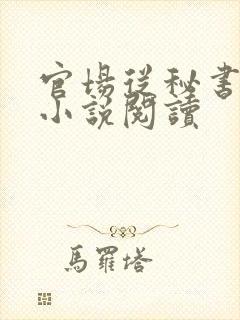 官场从秘书开始小说阅读