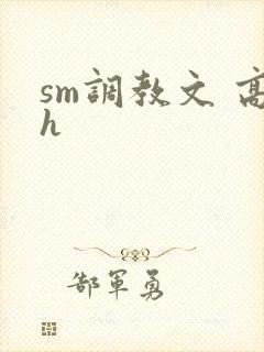 sm调教文 高h