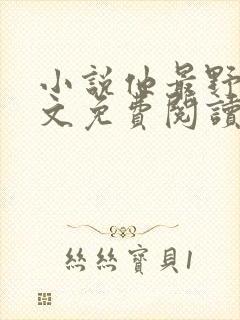 小说他最野了全文免费阅读